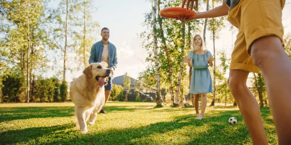 dog and family playing outside 